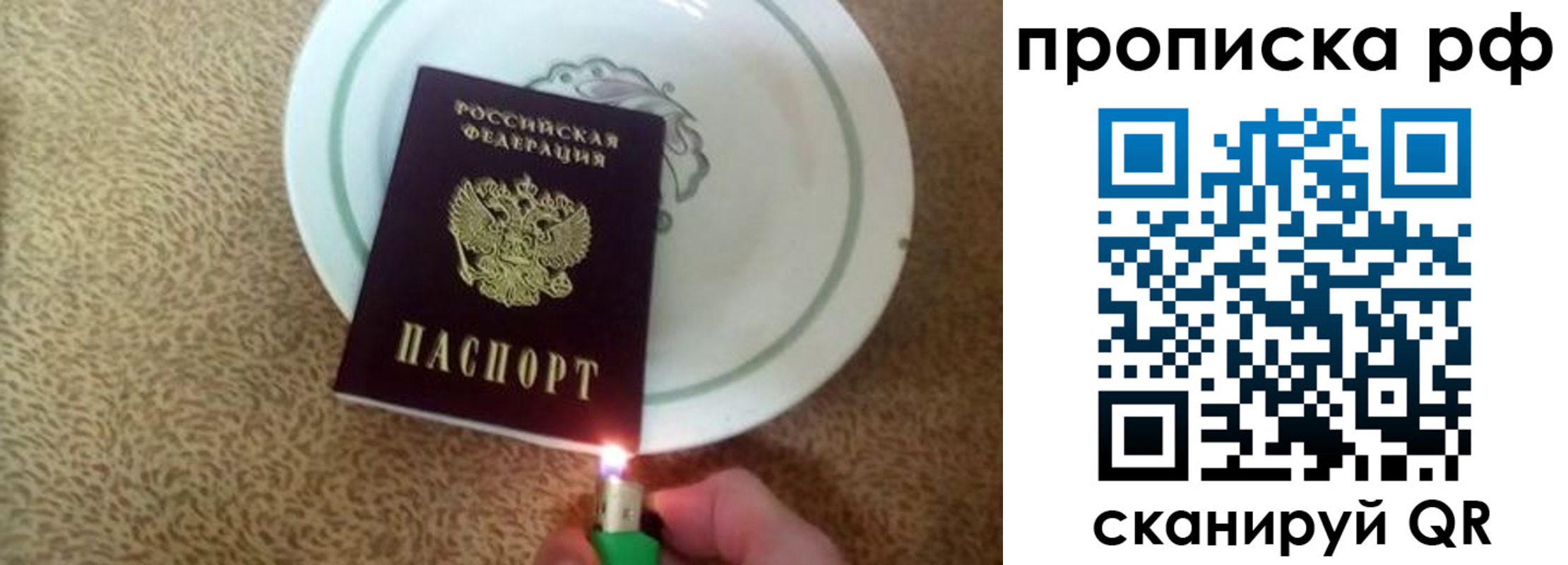 временная регистрация гарантия в Чкаловске